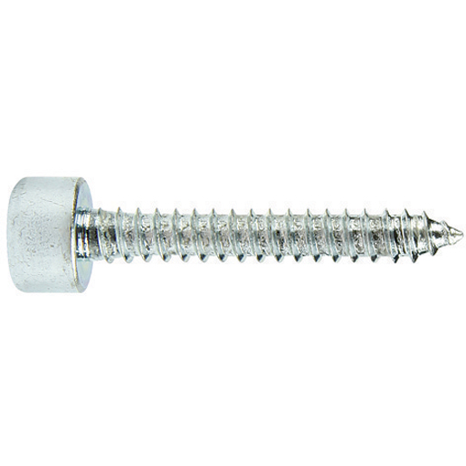 ZYL.SCHRAUBE INNENSECHSK. 4,8x32 ZYL.SCHRAUBE INNENSECHSK. 4,8x32