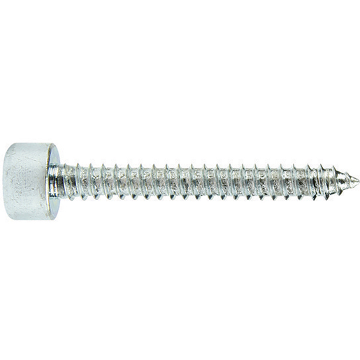 ZYL.SCHRAUBE INNENSECHSK. 4,8x38 ZYL.SCHRAUBE INNENSECHSK. 4,8x38