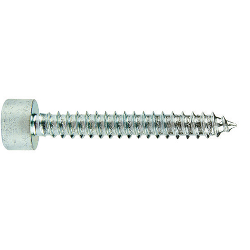 ZYL.SCHRAUBE INNENSECHSK. 5,5x38 ZYL.SCHRAUBE INNENSECHSK. 5,5x38