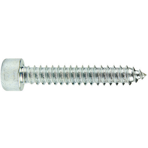 ZYL.SCHRAUBE INNENSECHSK. 6,3x38 ZYL.SCHRAUBE INNENSECHSK. 6,3x38