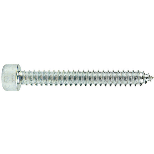 ZYL.SCHRAUBE INNENSECHSK. 6,3x50 ZYL.SCHRAUBE INNENSECHSK. 6,3x50