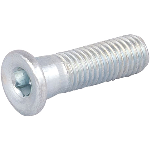 SCHRAUBE M 10 FÜR KNOCHENFUSS PAK 4 ST. SCHRAUBE M 10 FÜR KNOCHENFUSS PAK 4 ST.