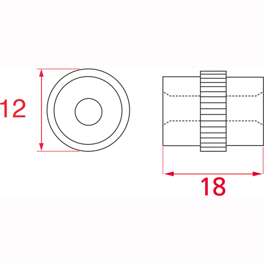 Technische Zeichnung von Scheibenträger mit Durchgangsbohrung 100