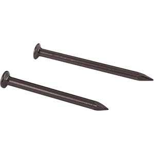 Chiodo con testa bombata