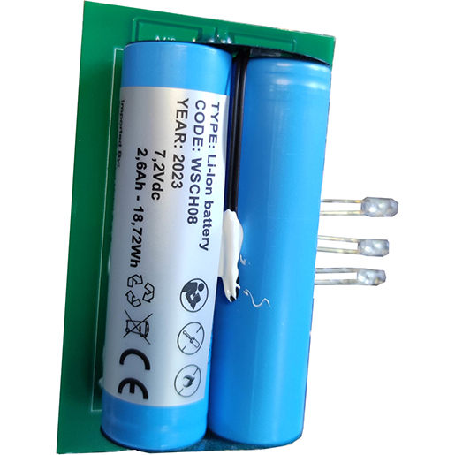 Scheda elettronica con 2 batterie al litio per pompa irroratrice Scheda elettronica con 2 batterie al litio per pompa irroratrice