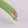Dettaglio di Cavo elettrico unipolare verde in PVC sezione 1 mm 300