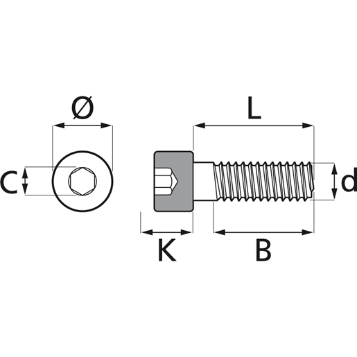 VITE TCCEI UNI5931 8G 4X8 Disegno tecnico di VITE TCCEI UNI5931 8G 4X8 100