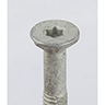 Détail de Vis-tarauds TSP avec ailes d’impression TORX galvanisées blanches 300