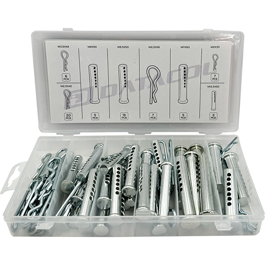 Detalle de Surtido de pasadores y clips R 71 pcs 300