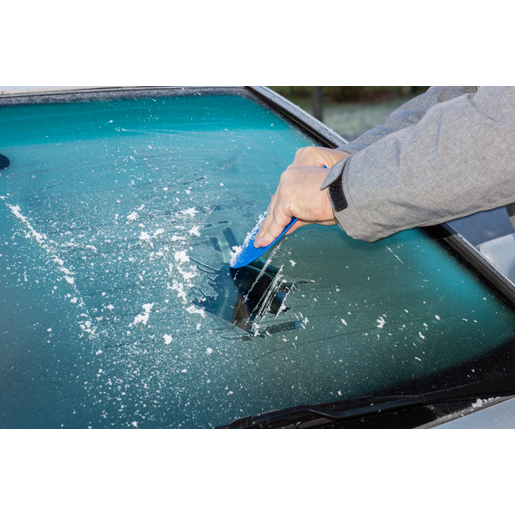 Uso de Juego WINTERDAT 500