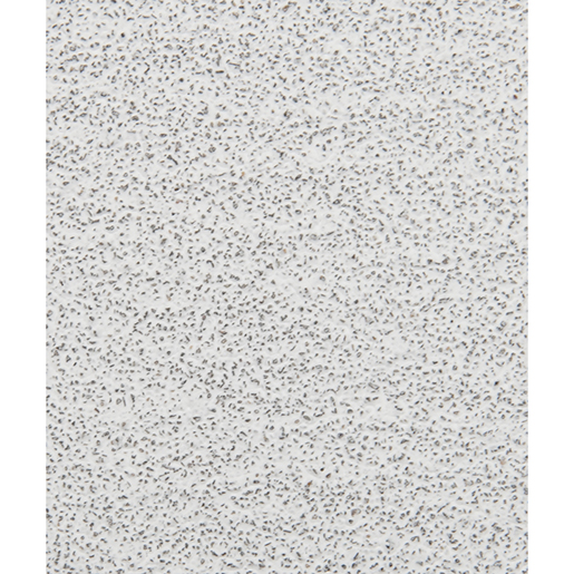 Detail von Klettscheibe Ø 225 mm 10 Löcher 305