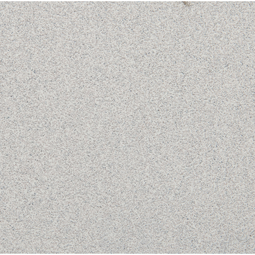 Detail von SCHEIBE Ø 225 10 LÖCHER 100K 50 STK 305