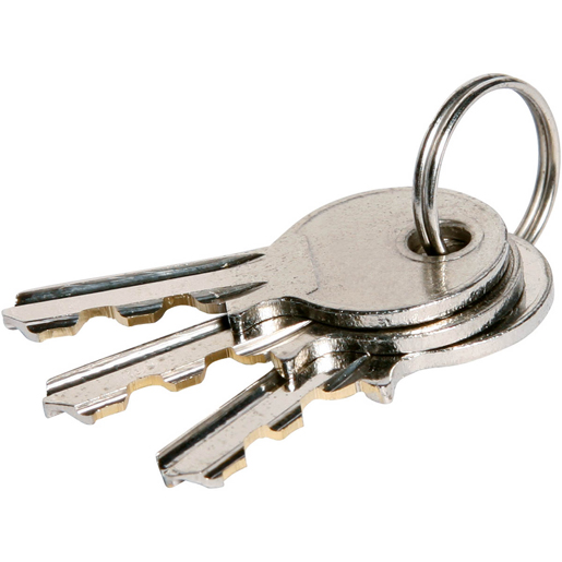 Détail de FERMOIR CLE UNIQUE 300