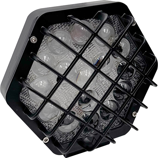 Detalle de Foco de trabajo de larga distancia 45W 2-24V 305