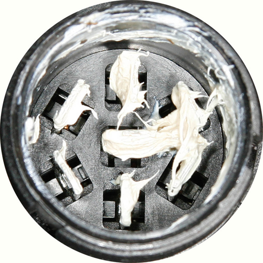 Détail de FEU ARRIERE DROIT ECOPOINT 300