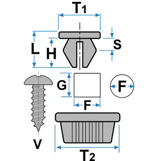 Disegno tecnico di Madrevite per fissaggio portatarga 100