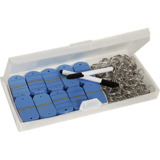 ETIQUETTE PORTES CLE BLEU 200 PC