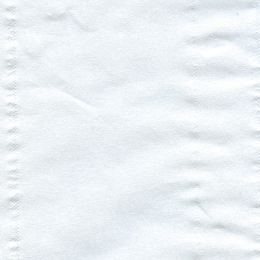 CARTA PURA CELLULOSA 950 STRAPPI Dettaglio di CARTA PURA CELLULOSA 950 STRAPPI 300