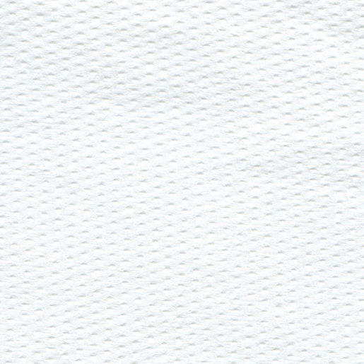 Papier aus reiner Zellulose für allgemeine Reinigung 514 Blatt Detail von Papier aus reiner Zellulose für allgemeine Reinigung 514 Blatt 300