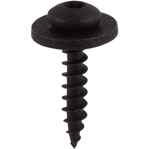 SELB-SCHNEID-SCHRAUB UNT.SCHEIBE REN-MER