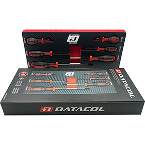 Set de 6 destornilladores PZ con módulo eva
