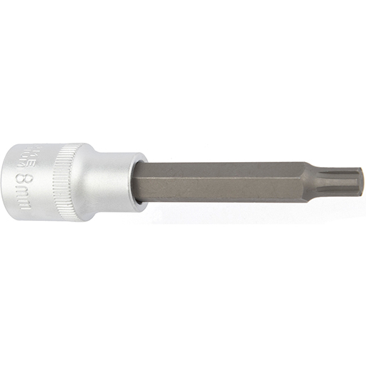 RIBE-Bit-Steckschluessel 100mm 8