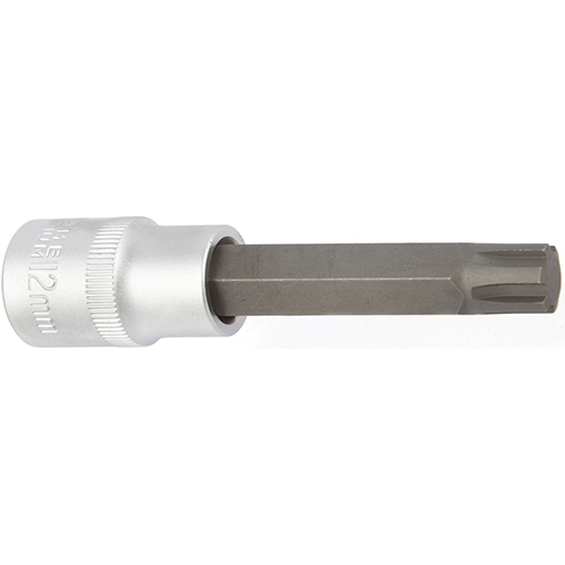 RIBE-Bit-Steckschluessel 100mm 12