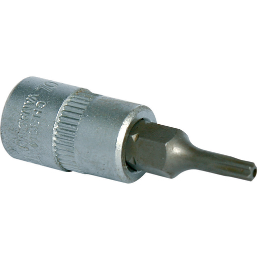 1/4EINSATZ-Resitorx T10