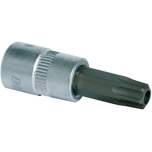 1/4EINSATZ-Resitorx T40