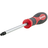 Detail von TORX-Schraubendreher 300