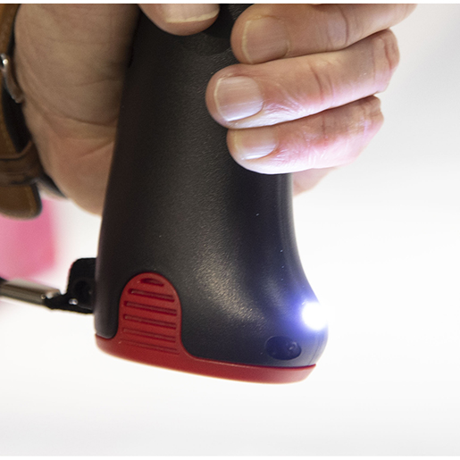 Akku-Pistole für chemische Anker mit Koffer Detail von Akku-Pistole für chemische Anker mit Koffer 300