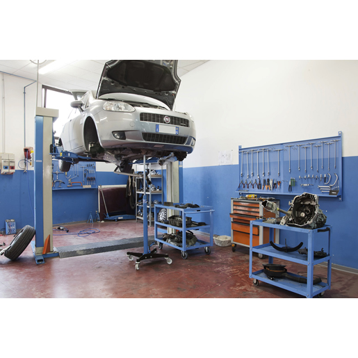 SOLLEVATORE FOSSA KG500 Uso di SOLLEVATORE FOSSA KG500 500