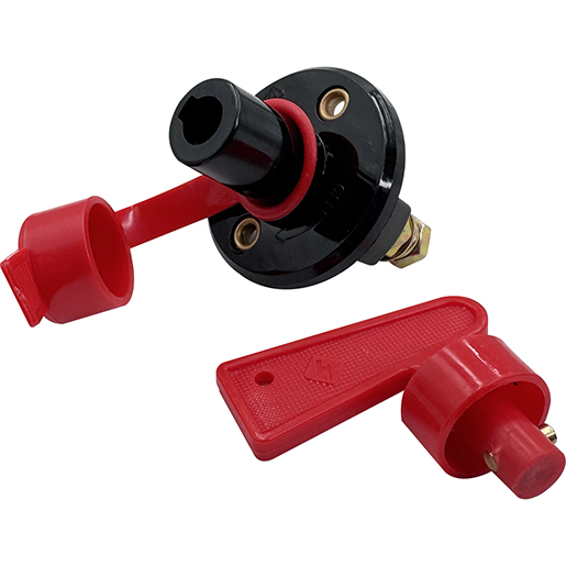 Detalle de INTERRUPTOR DE BATERIA 12/24V C/2 LLAVES 300