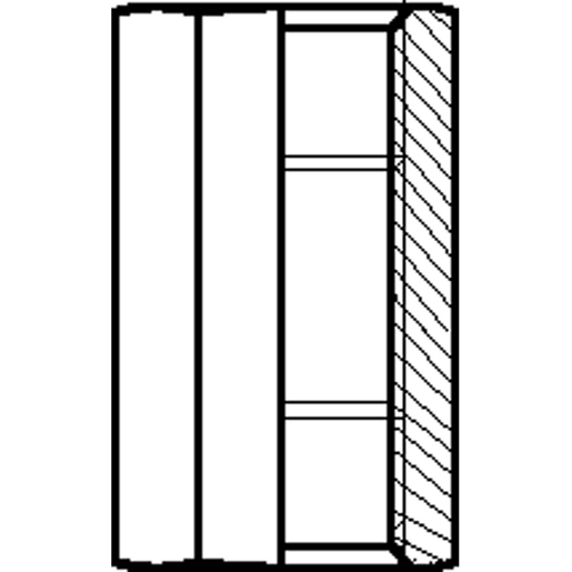 Technische Zeichnung von Metrische Verlängerung Innengewinde/Innengewinde gebörd. 60° 100
