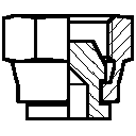 Dessin technique de Bouchon fileté femelle SV 60° pour gaz 100