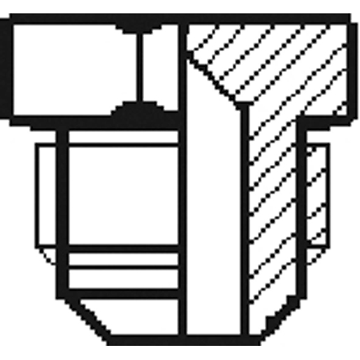 Dessin technique de Bouchon JIC mâle 100