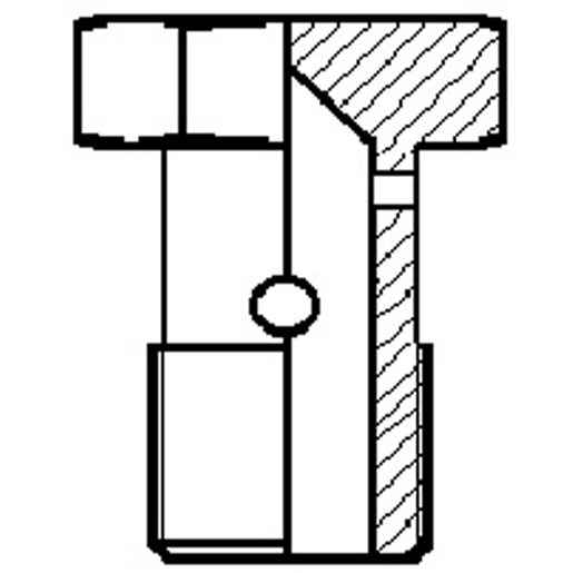Dessin technique de Vis à oeil filetée pour gaz 100