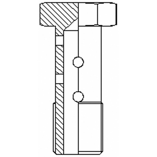 Dessin technique de Vis à double alésage fileté pour gaz 100