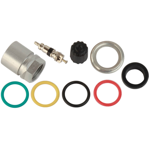 Servicesatz Megane/Scenic