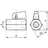 Technische Zeichnung von Kugelventil Innengewinde-Innengewinde 100