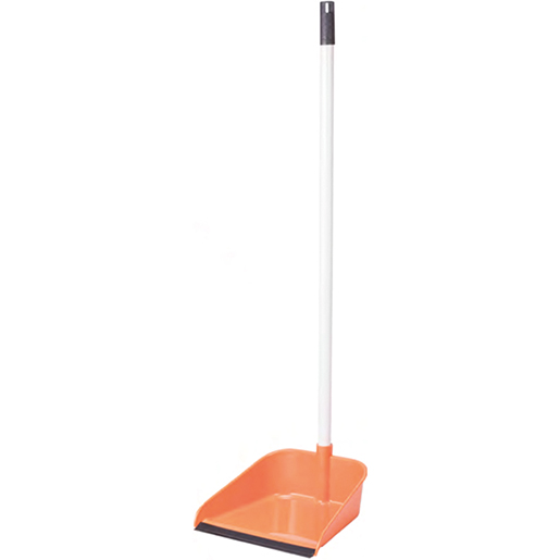 Recogedor con goma y mango