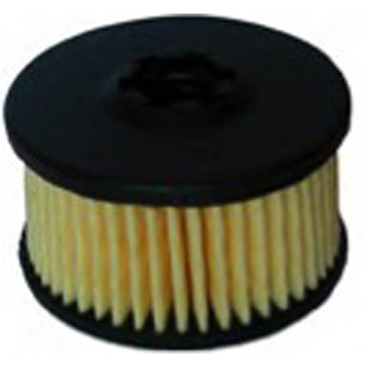 FILTRE CG-10 EMMA-GAS