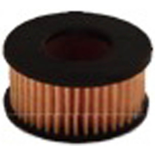 FILTRE CG-12 LANDI RENZO