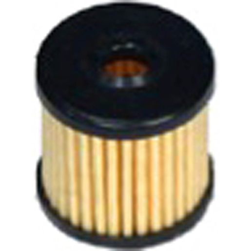 FILTRE CG-19 TARTARINI