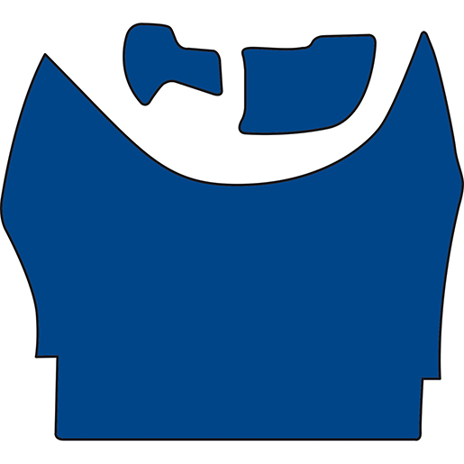 COUVRE-COFFRE DAF XF BLEU