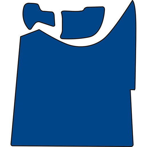 COUVRE-COFFRE DAF XG BLEU