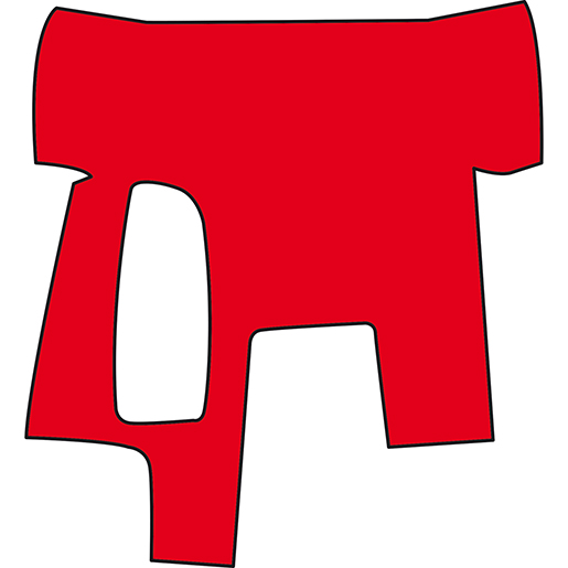 COPRIC.MAN TGM-TGL CAB.STRET.LUNGA ROSSO COPRIC.MAN TGM-TGL CAB.STRET.LUNGA ROSSO