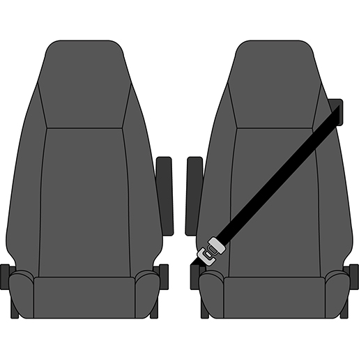Detail von Bezüge DAF LF EURO 6 Liners ab 2015 310