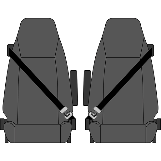 Detail von Bezüge DAF 106 XF Liners ab 2015 315