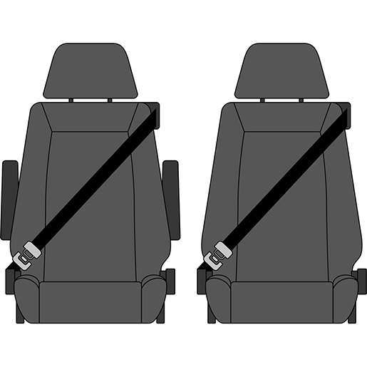 Detail von Bezüge RENAULT MAGNUM ab 1998 320